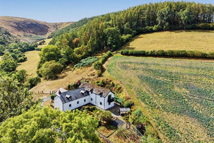 41.8 acres of Woodland for sale in Llangamarch