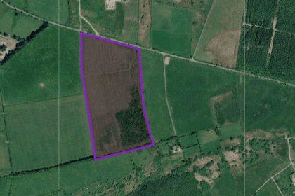 Undeveloped Land for sale in Cynwyl Elfed