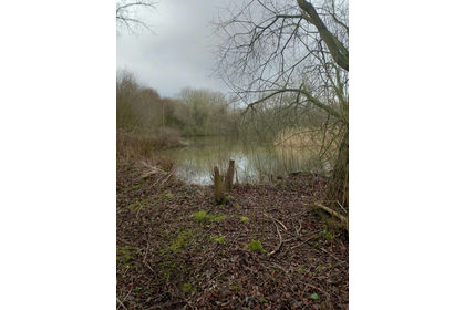16.6 acres of Woodland for sale in Gunness