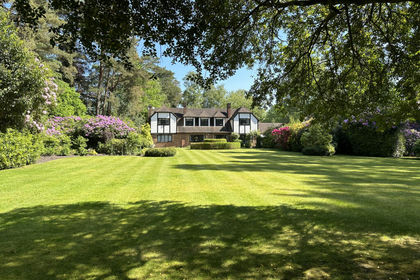 1.5 acres of House with Land for sale in Sunninghill and Ascot