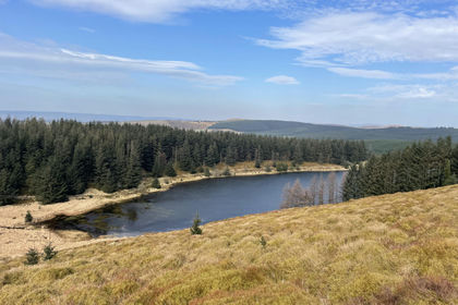 26.5 acres of Lake for sale in