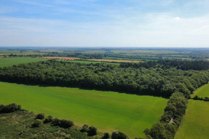 49.5 acres of Woodland for sale in Baunton