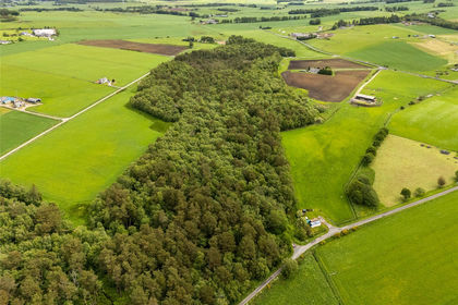 28.6 acres of Woodland for sale in Westhill