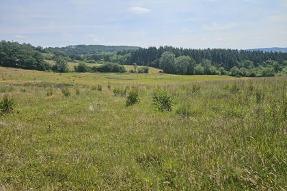 4.8 acres of Undeveloped Land for sale in