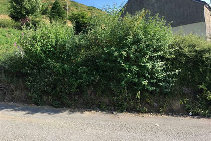 Land for sale in Tonyrefail