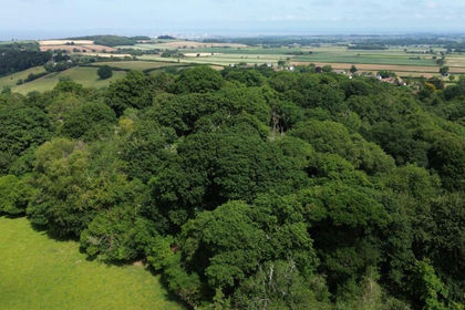 6.5 acres of Undeveloped Land for sale in Holford