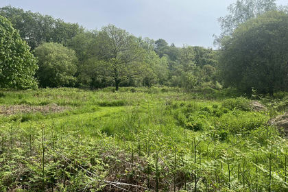 2.5 acres of Woodland for sale in Ilsington