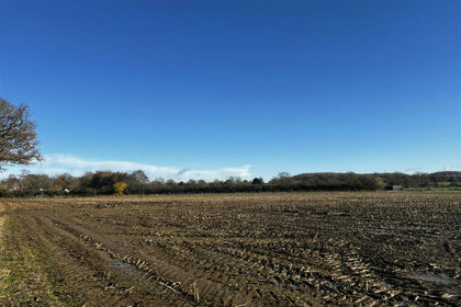 18.1 acres of Agricultural Land for sale in Shutlanger