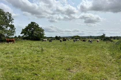 9.2 acres of Land for sale in Street