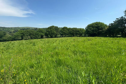 9.9 acres of Vacant Land for sale in South Brent