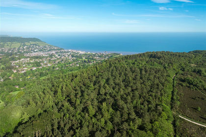 95.6 acres of Timberland for sale in Devon
