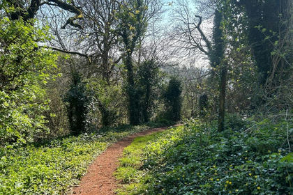1.2 acres of Woodland for sale in Torbay