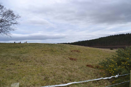 Land for sale in Moray West, Nairn and Strathspey