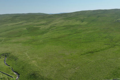 191.9 acres of Timberland for sale in Dumfriesshire, Clydesdale and Tweeddale