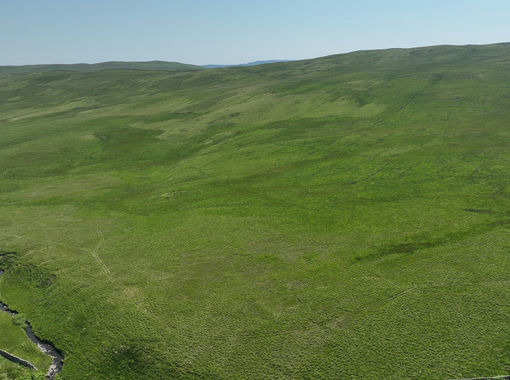 191.9 acres of Timberland for sale in Dumfriesshire, Clydesdale and Tweeddale