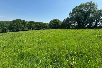 9.9 acres of Vacant Land for sale in South Brent