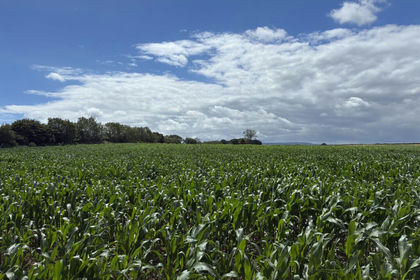 44.7 acres of Arable Land for sale in Isle Abbotts