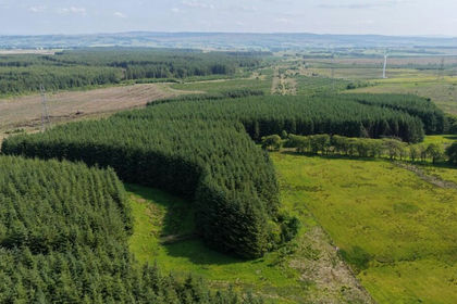 51.1 acres of Agricultural Land for sale in East Kilbride and Strathaven
