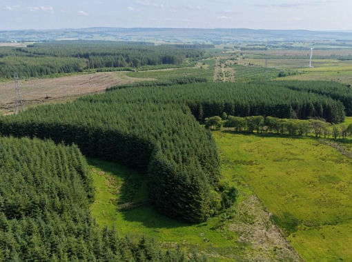 51.1 acres of Timberland for sale in East Kilbride and Strathaven