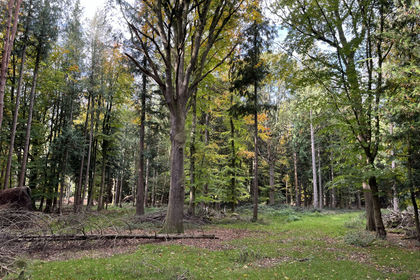 4.5 acres of For sale in Hampshire