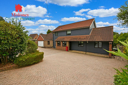 1 acre of House with Land for sale in Brede