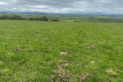 19 acres of Land for sale in Llanasa