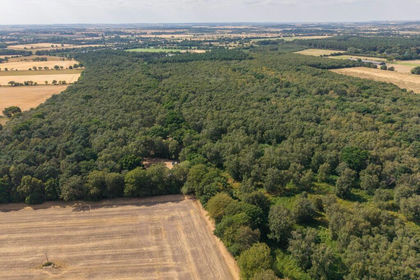 27.6 acres of Woodland for sale in Nettleton