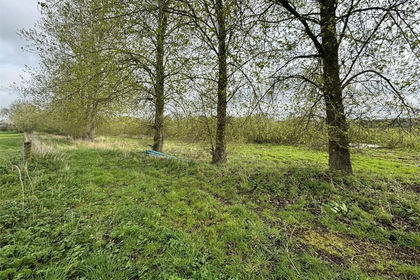 9.8 acres of Undeveloped Land for sale in Wilberfoss