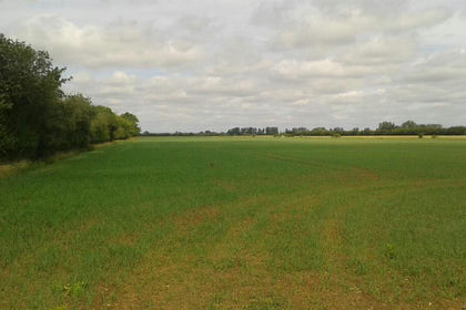 52.1 acres of Farmland for sale in Baston
