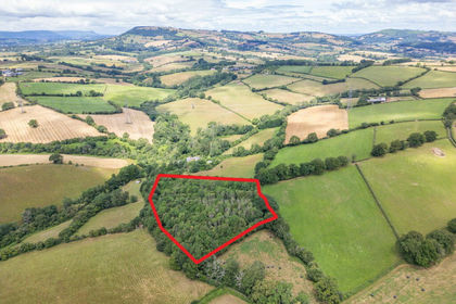 4.5 acres of Woodland for sale in Whitecastle