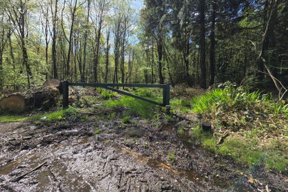 11 acres of Woodland for sale in Holt