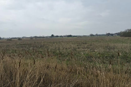 8.1 acres of Agricultural Land for sale in Ramsey