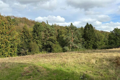 3.2 acres of Amenity Land for sale in Hope Bowdler