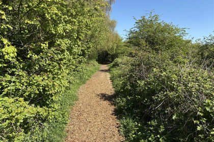9.6 acres of Woodland for sale in Burley