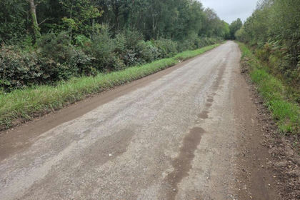 Undeveloped Land for sale in Holt