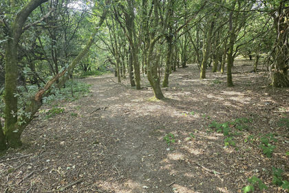 Cheap Land for sale in Chaldon