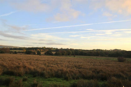 38 acres of Farmland for sale in Tregaron