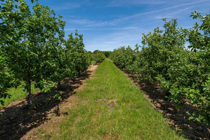 20.4 acres of Orchard for sale in Pershore