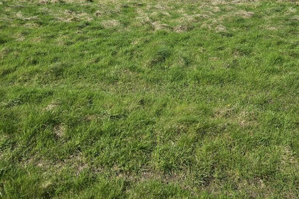 Land for sale in Coleshill