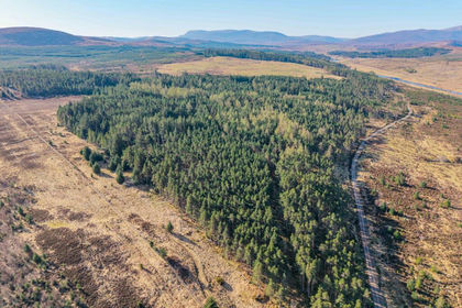 Woodland for sale in Caithness, Sutherland and Easter Ross