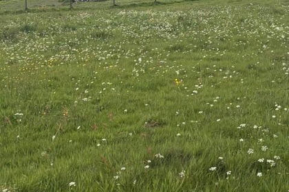 8 acres of Equestrian property for sale in North Turton
