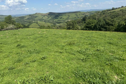 Pasture for sale in Llansadwrn