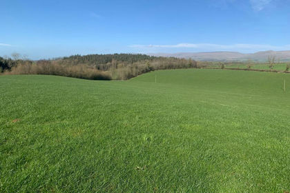 34.2 acres of Agricultural Land for sale in Ormside