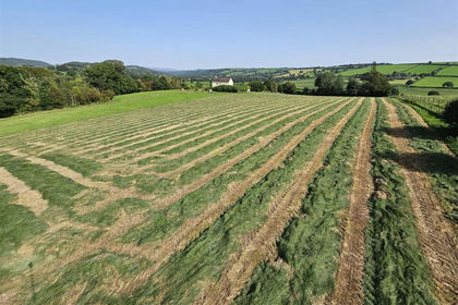 6 acres of House with Land for sale in Milton Abbot