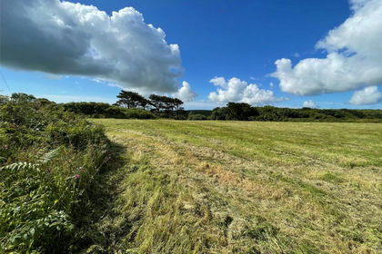 1.6 acres of Undeveloped Land for sale in Madron