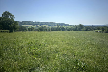 10.1 acres of Pasture for sale in Honiton