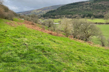 1.1 acres of Agricultural Land for sale in Corwen