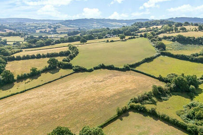 27.2 acres of Agricultural Land for sale in Llantrisant Fawr