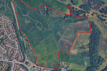 66.5 acres of Vacant Land for sale in Newport