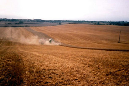 146.1 acres of Farmland for sale in Dalton Piercy